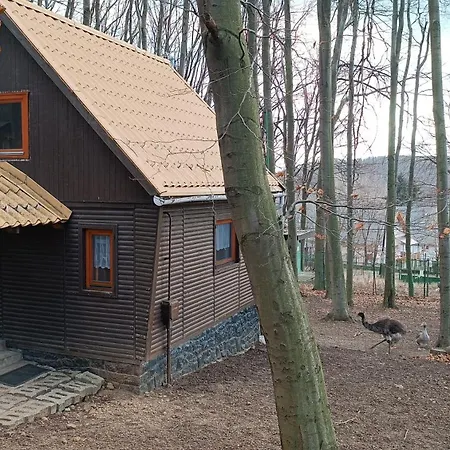 Panzió Darázshegyi Faház *