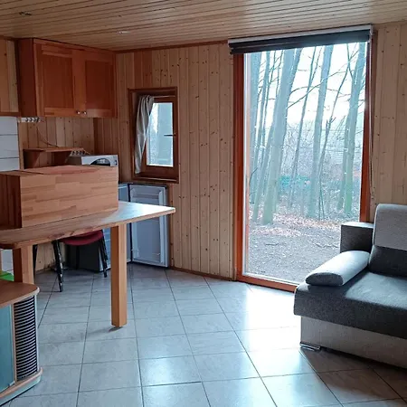 Bed and breakfast Darázshegyi Faház Gluténmentes Ellátással