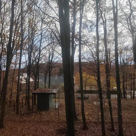 Darazshegyi Fahaz Glutenmentes Ellatassal Oda ve Kahvaltı *