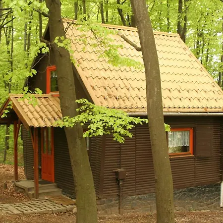 Bed and breakfast Darázshegyi Faház Gluténmentes Ellátással