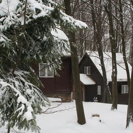 Bed & Breakfast Darazshegyi Panzio Es Fahazak - Fahazak *
