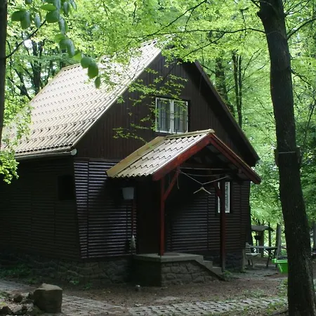 Bed and breakfast Darázshegyi Faház Gluténmentes Ellátással