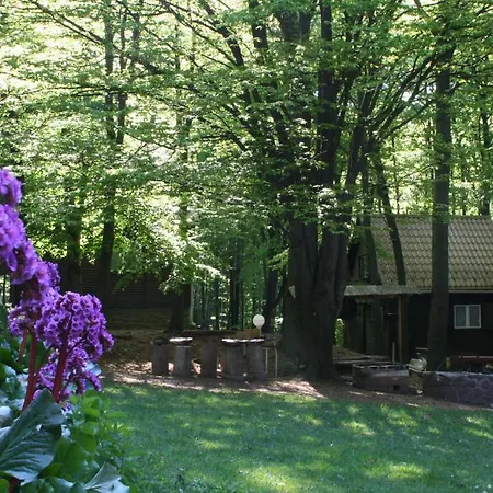 Darázshegyi Faház Gluténmentes Ellátással Bed and breakfast *