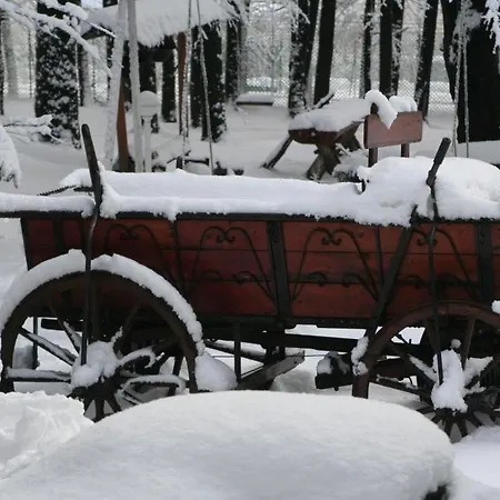Darazshegyi Fahaz Glutenmentes Ellatassal
