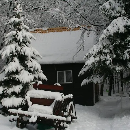 Bed and breakfast Darázshegyi Faház Gluténmentes Ellátással