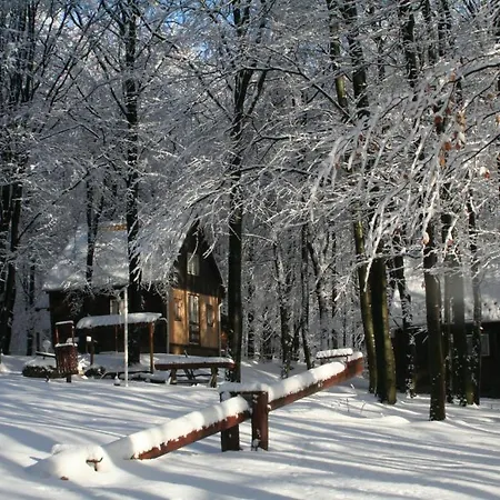 Oda ve Kahvaltı Darazshegyi Fahaz Glutenmentes Ellatassal *