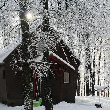 Oda ve Kahvaltı Darazshegyi Fahaz Glutenmentes Ellatassal Mátraszentimre