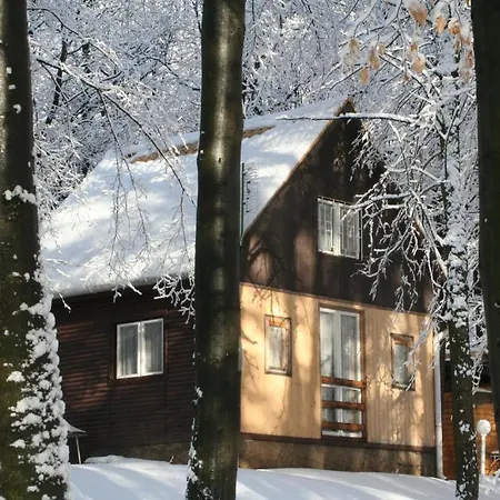 Darazshegyi Panzio Es Fahazak - Fahazak