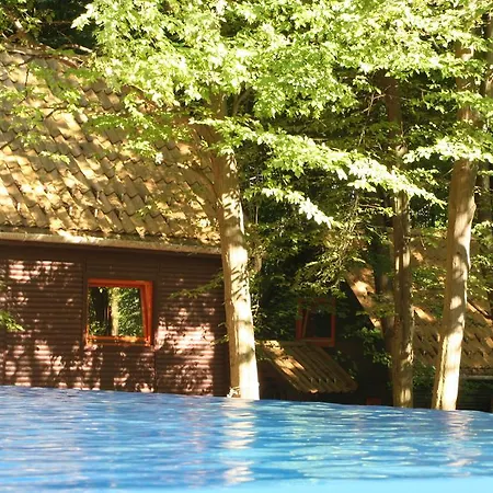 Bed & Breakfast Darazshegyi Panzio Es Fahazak - Fahazak *