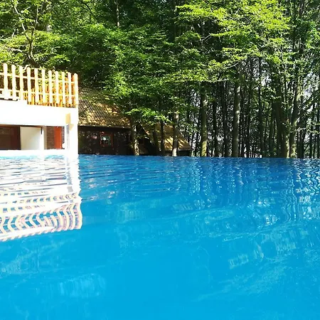 Darázshegyi Faház Gluténmentes Ellátással Bed and breakfast *