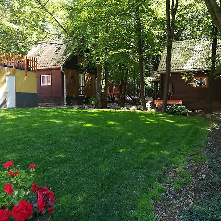 Darazshegyi Fahaz Glutenmentes Ellatassal * Mátraszentimre